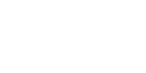 SheSaidYess™